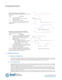 SSQE48T25033-PAAN Datasheet Pagina 8