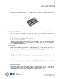 SSQE48T25033-PAAN Datasheet Pagina 9