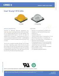 XTEARY-02-0000-000000Q09 Datasheet Copertura