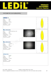 CA11174_TINA2-M Datasheet Pagina 3