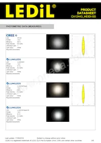 CA12443_HEIDI-SS Datasheet Pagina 3