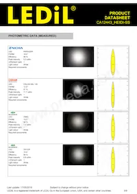 CA12443_HEIDI-SS Datasheet Pagina 5