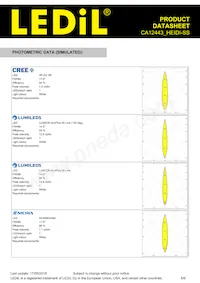 CA12443_HEIDI-SS Datasheet Pagina 6