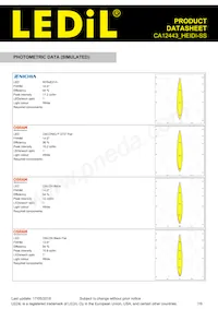 CA12443_HEIDI-SS Datasheet Pagina 7