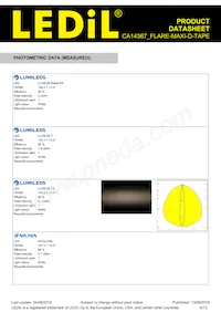 CA14367_FLARE-MAXI-D-TAPE Datasheet Pagina 6