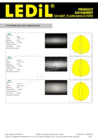 CA14367_FLARE-MAXI-D-TAPE Datasheet Pagina 9