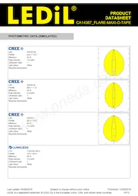 CA14367_FLARE-MAXI-D-TAPE Datasheet Pagina 10