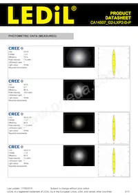 CA14507_G2-LXP2-D-P Datasheet Pagina 3