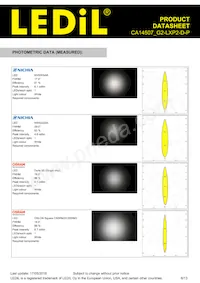 CA14507_G2-LXP2-D-P Datasheet Pagina 6