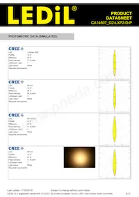 CA14507_G2-LXP2-D-P Datasheet Pagina 8