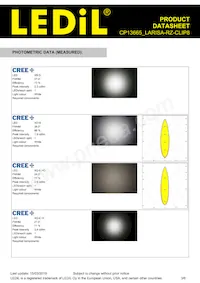CP13665_LARISA-RZ-CLIP8 Datasheet Pagina 3