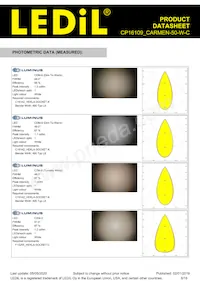 CP16109_CARMEN-50-W-C Datasheet Pagina 8