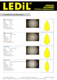 CP16109_CARMEN-50-W-C Datasheet Pagina 9