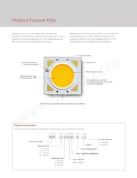 BXRE-40G0800-E-72 Datenblatt Seite 4