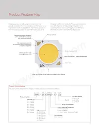 BXRE-65E1001-C-73 Datasheet Pagina 4