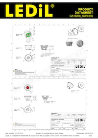 CA16206_SURI-RS Datasheet Pagina 2