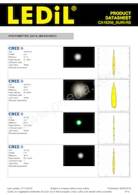 CA16206_SURI-RS Datasheet Pagina 4