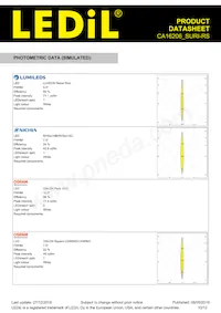 CA16206_SURI-RS Datasheet Pagina 10