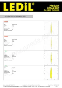 CA16206_SURI-RS Datasheet Pagina 11