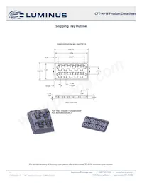 CFT-90-WSS-X11-VB700數據表 頁面 11