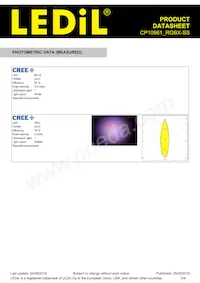 CP10961_RGBX-SS數據表 頁面 3