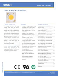 CXA1304-0000-000C00B430G Datasheet Copertura