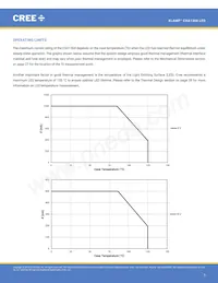 CXA1304-0000-000C00B430G Datasheet Pagina 3