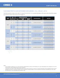 CXA1304-0000-000C00B430G Datasheet Pagina 8