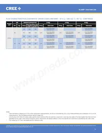 CXA1304-0000-000C00B430G Datenblatt Seite 11