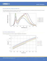 CXA1304-0000-000C00B430G Datasheet Pagina 17