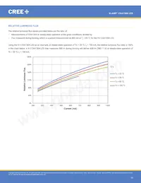 CXA1304-0000-000C00B430G Datasheet Pagina 19