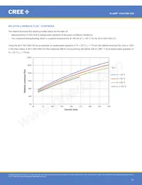 CXA1304-0000-000C00B430G Datasheet Pagina 21