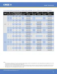 CXA1510-0000-000N0YG235F Datasheet Pagina 10