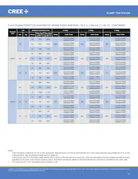 CXA1510-0000-000N0YG235F Datenblatt Seite 11