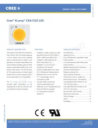 CXA1520-0000-000N0YM235G Datasheet Copertura