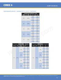 CXA1520-0000-000N0YM235G Datasheet Pagina 10