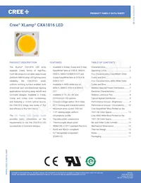 CXA1816-0000-000N0YM430F Datasheet Copertura