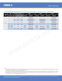 CXA1816-0000-000N0YM430F Datenblatt Seite 5