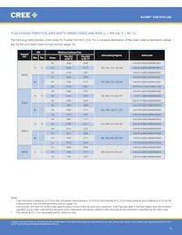 CXA1816-0000-000N0YM430F Datasheet Pagina 6