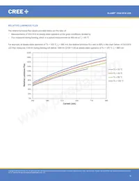 CXA1816-0000-000N0YM430F Datasheet Pagina 8