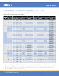 CXA1820-0000-000N0YP235F Datasheet Pagina 3