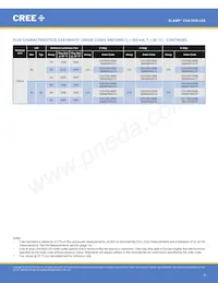 CXA1820-0000-000N0YP235F Datasheet Pagina 5