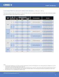 CXA1820-0000-000N0YP235F Datasheet Pagina 6