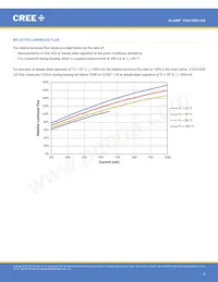 CXA1820-0000-000N0YP235F Datasheet Pagina 8