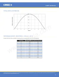 CXA1820-0000-000N0YP235F Datasheet Pagina 9