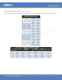 CXA1820-0000-000N0YP235F Datasheet Pagina 10