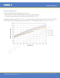 CXA1830-0000-000N00T230F Datasheet Pagina 8