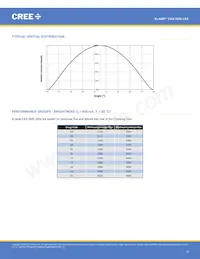 CXA1830-0000-000N00T230F Datasheet Pagina 9