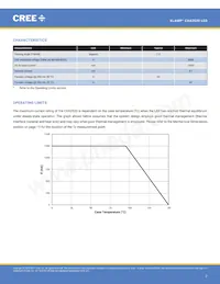 CXA2520-0000-000N00R235G Datasheet Pagina 2