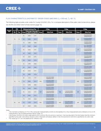 CXA2520-0000-000N00R235G Datasheet Pagina 3